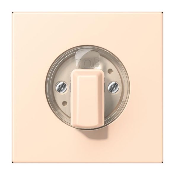 Abdeckung für Drehschalter LC 1941 238