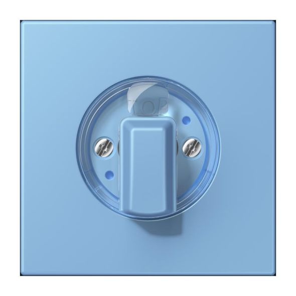 Abdeckung für Drehschalter LC 1941 256 Abdeckung für Drehschalter LC 1941 256