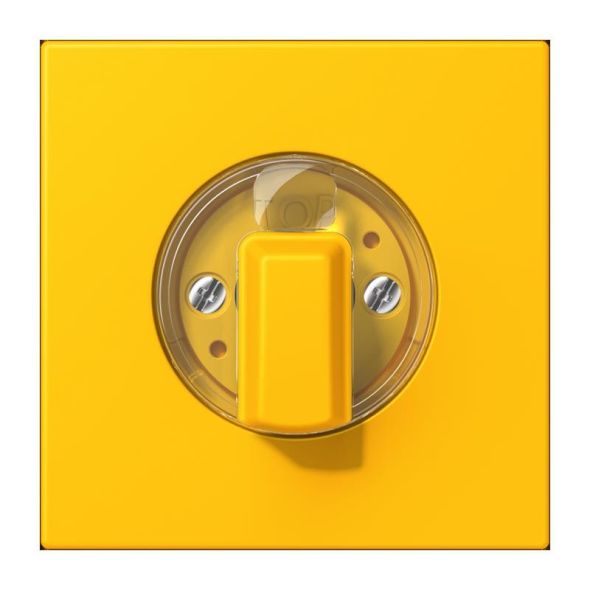 Abdeckung für Drehschalter LC 1941 263