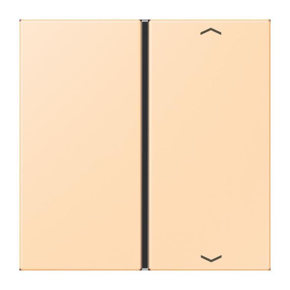 Taste 1fach m. Pfeilsymb. LC 401 TSAP 223