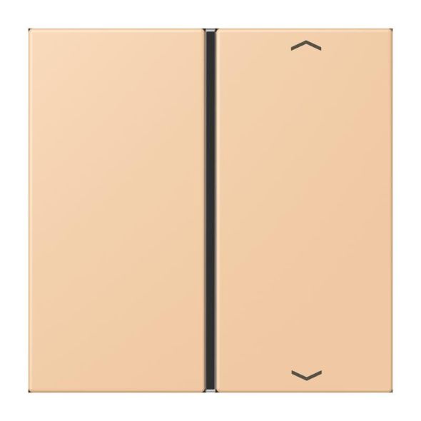 Taste 1fach m. Pfeilsymb. LC 401 TSAP 237