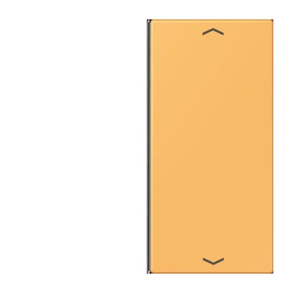 Taste 2fach m. Pfeilsymb. LC 402 TSAP 254