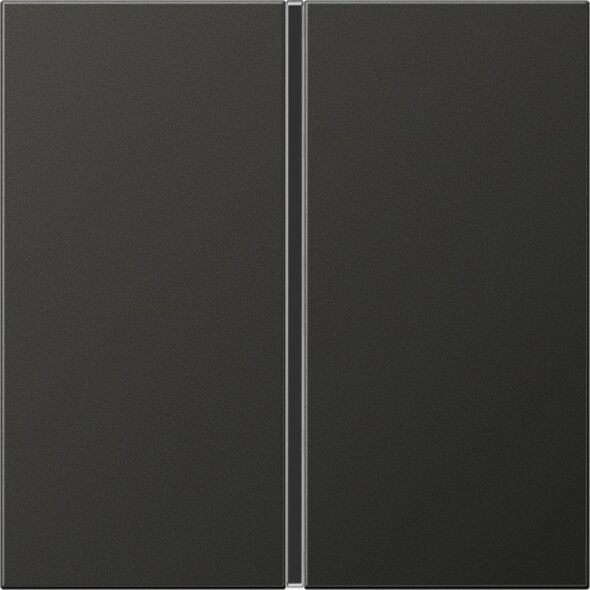 Tastensatz 1-fach anth AL 2401 TSA AN