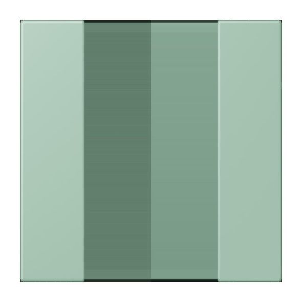 Tastensatz 1fach LC 501 TSA 217