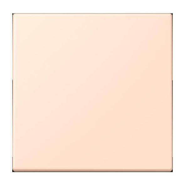 Wippe für Taster 1fach LC 101 228