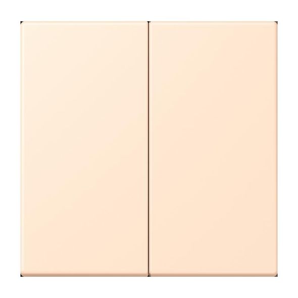 Wippe für Taster 2fach LC 102 238