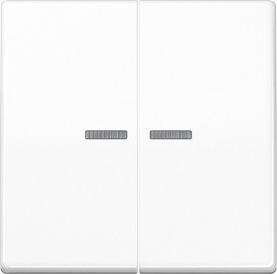 Wippe Lichtleiter aws AS 591-5 KO5BF WW