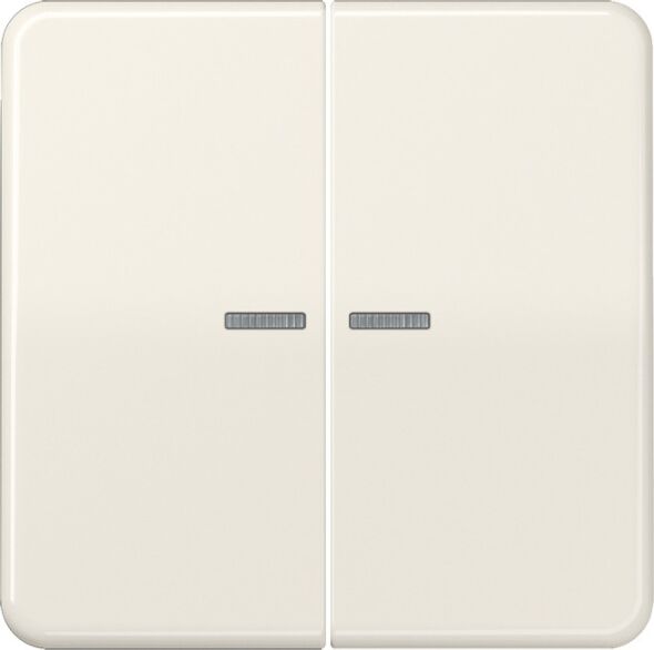 Wippe Lichtleiter ws CD 595 KO5