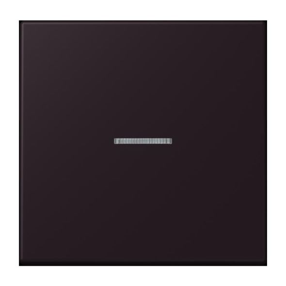 Wippe mit Lichtleiter LC 101 KO5 248