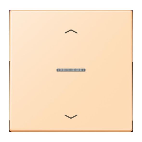 Wippe mit Lichtleiter LC 101 KO5P 223