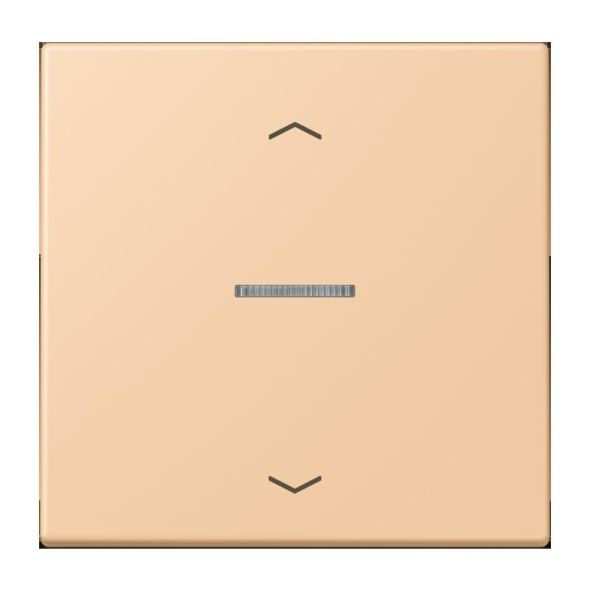 Wippe mit Lichtleiter LC 101 KO5P 237