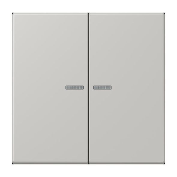 Wippe mit Lichtleiter LC 102 KO5 205