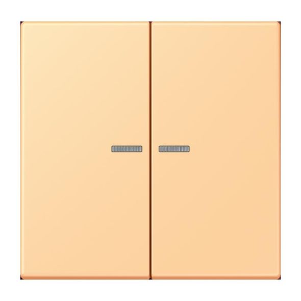 Wippe mit Lichtleiter LC 102 KO5 258