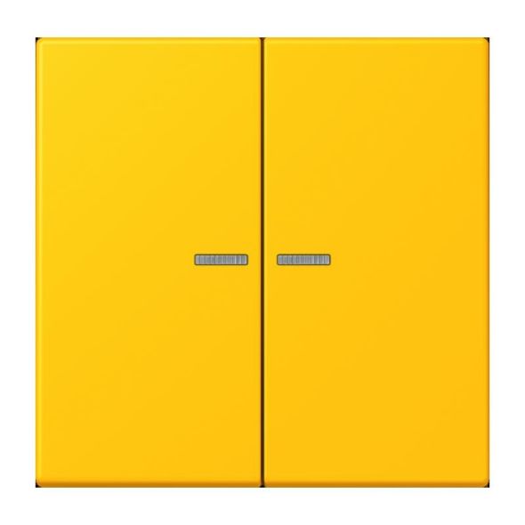 Wippe mit Lichtleiter LC 102 KO5 263