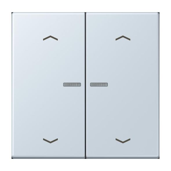 Wippe mit Lichtleiter LC 102 KO5P 209