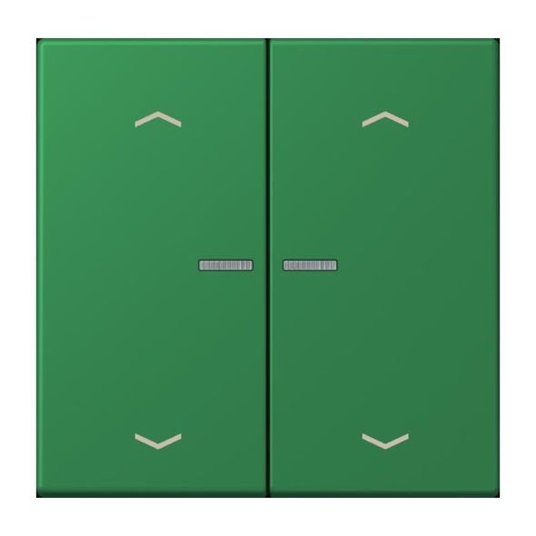 Wippe mit Lichtleiter LC 102 KO5P 219