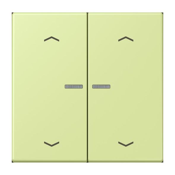 Wippe mit Lichtleiter LC 102 KO5P 222