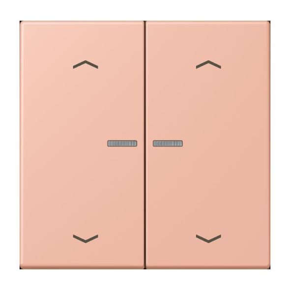 Wippe mit Lichtleiter LC 102 KO5P 231