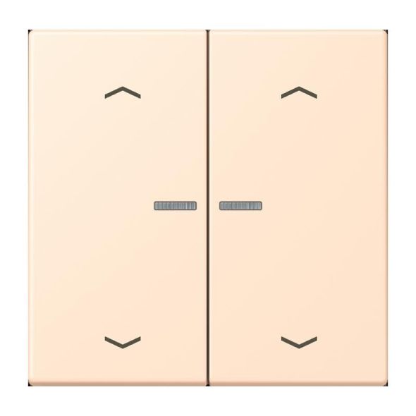 Wippe mit Lichtleiter LC 102 KO5P 238