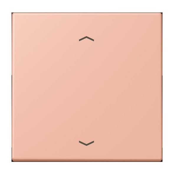 Wippe mit Pfeilsymbolen LC 101P 231