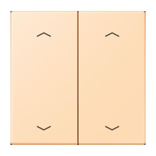 Wippe mit Pfeilsymbolen LC 102 P 223