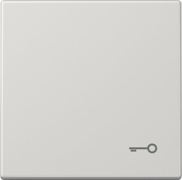 Wippe Symbol TÜR lgr LS 990 T LG