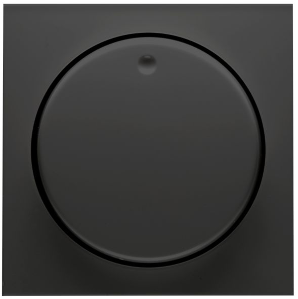 Abdeckung Dimmer D 11.810.193 HR Abdeckung Dimmer D 11.810.193 HR