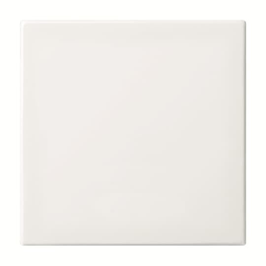 BT-Bedienelement 1-fach 6735 BT-914