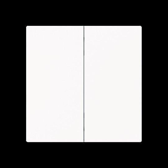 Wippe 2-fach Smart Switch 6736 FoH-44M