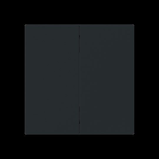 Wippe 2-fach Smart Switch 6736 FoH-45M