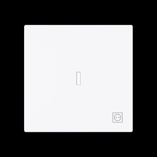 Wippe mit Symbol Stecker 1789 ST-44G Wippe mit Symbol Stecker 1789 ST-44G