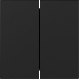 Wippe 3495005 2-fach gerade schwarz matt - neue Generation Wippe 3495005 2-fach gerade schwarz matt - neue Generation