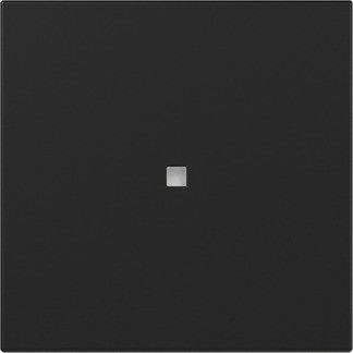 Wippe 3490005 gerade Kontrollf. schwarz matt - neue Generation