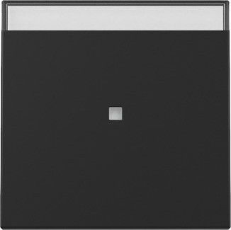 Wippe 3670005 Kontrollf. schwarz matt - neue Generation
