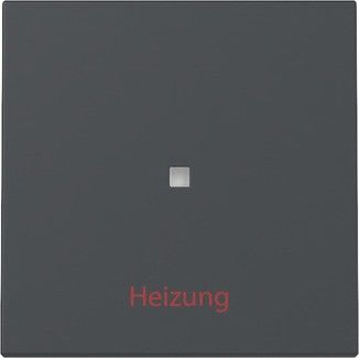 Wippe 367828 Kontrollf. + Heizung anthrazit - neue Generation Wippe 367828 Kontrollf. + Heizung anthrazit - neue Generation