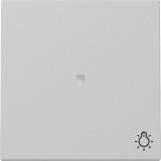 Wippe 3674015 Kontrollf. + Symb. grau Matt - neue Generation