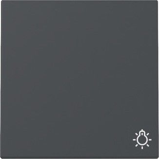 Wippe 328528 Symb. Licht anthrazit - neue Generation