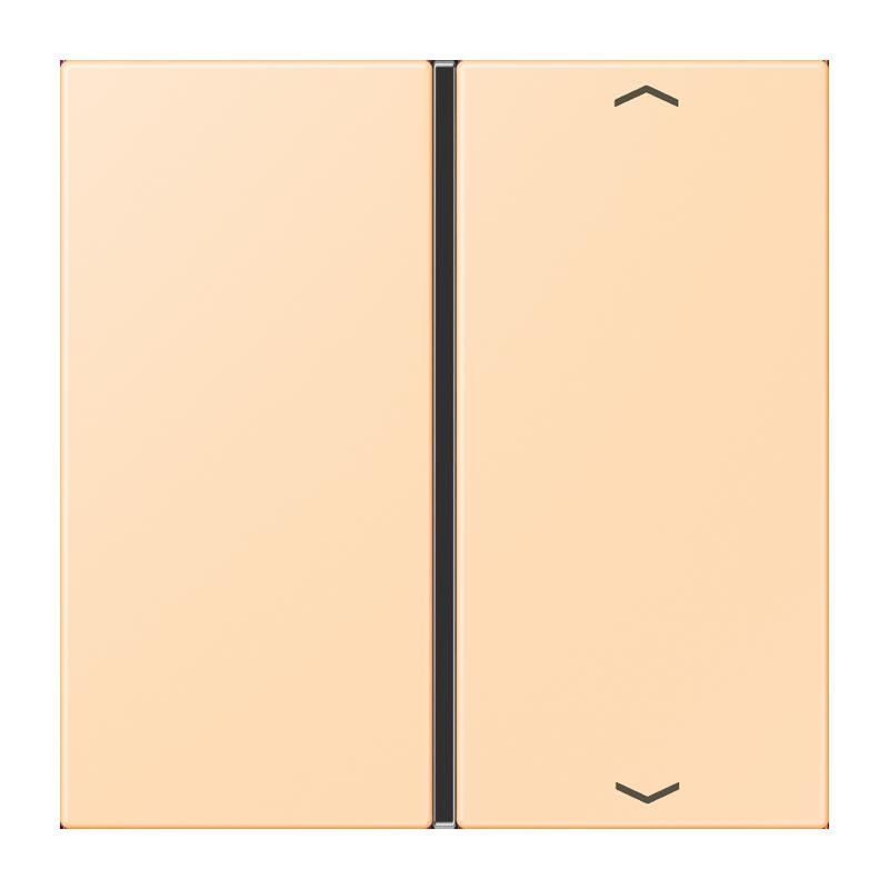 Taste 1fach m. Pfeilsymb. LC 401 TSAP 223