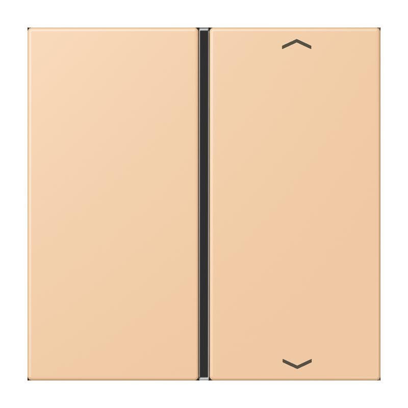 Taste 1fach m. Pfeilsymb. LC 401 TSAP 237