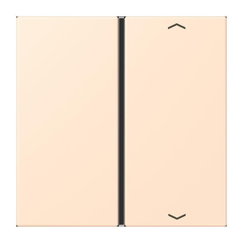 Taste 1fach m. Pfeilsymb. LC 401 TSAP 238