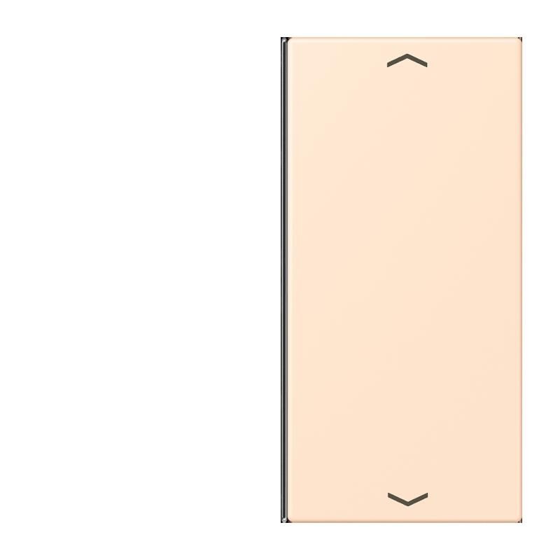 Taste 2fach m. Pfeilsymb. LC 402 TSAP 238