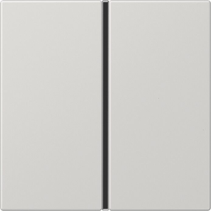 Tastensatz 1-fach lgr LS 401 TSA LG