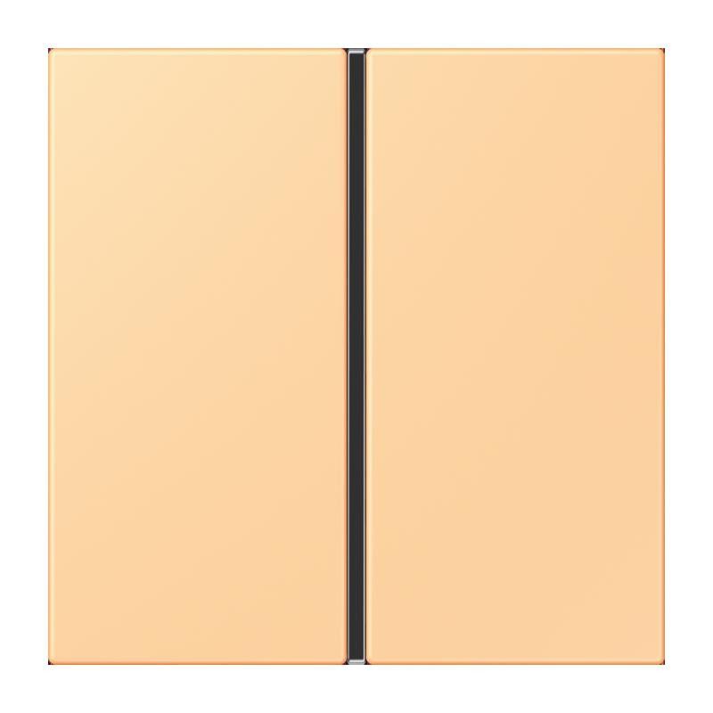 Tastensatz 1fach LC 401 TSA 258