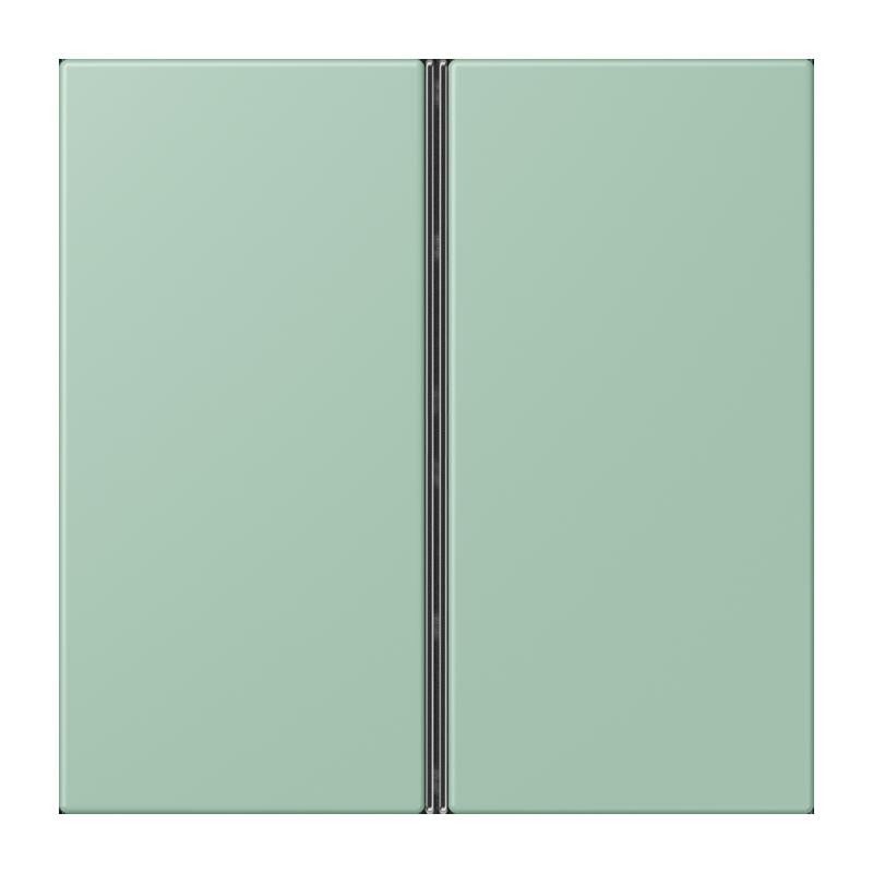 Tastensatz 2fach LC 402 TSA 217