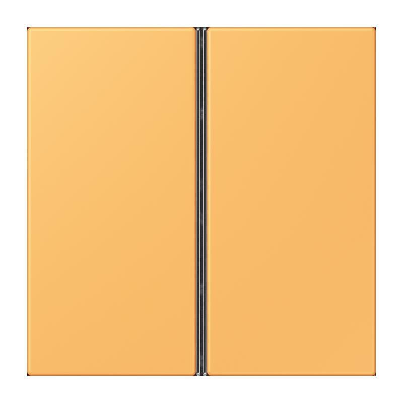 Tastensatz 2fach LC 402 TSA 254