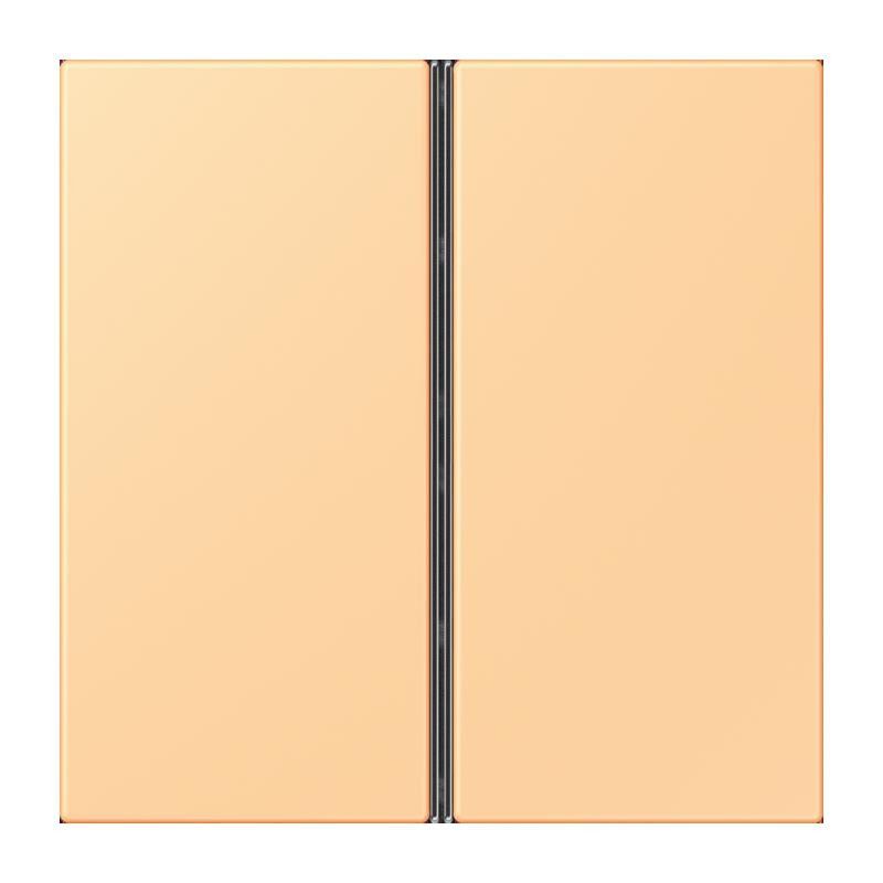 Tastensatz 2fach LC 402 TSA 258