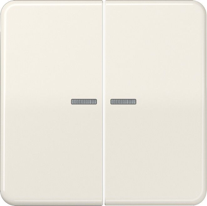 Wippe Lichtleiter ws CD 595 KO5