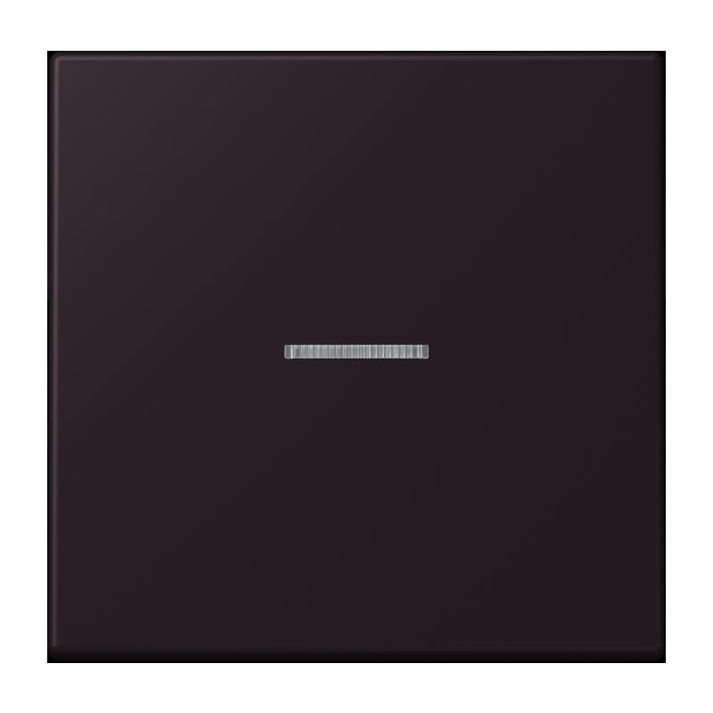 Wippe mit Lichtleiter LC 101 KO5 248