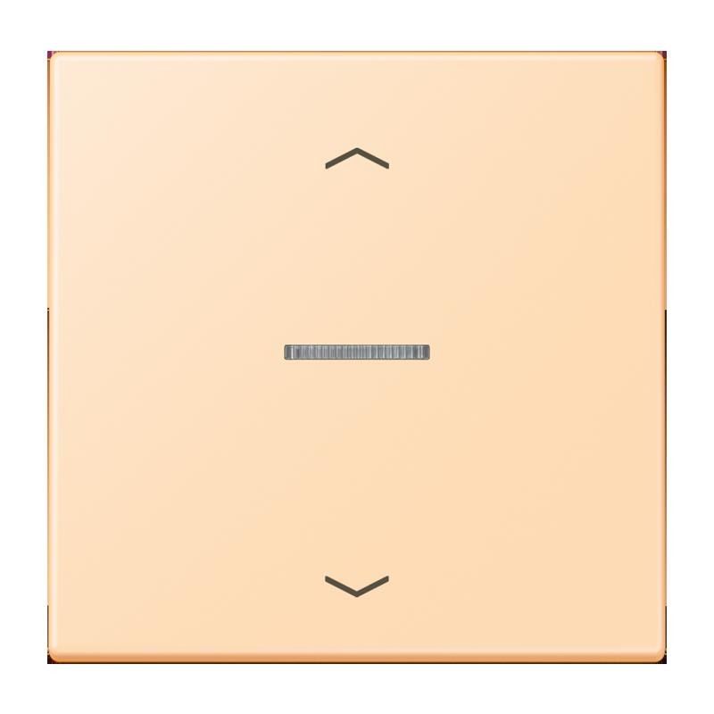 Wippe mit Lichtleiter LC 101 KO5P 223