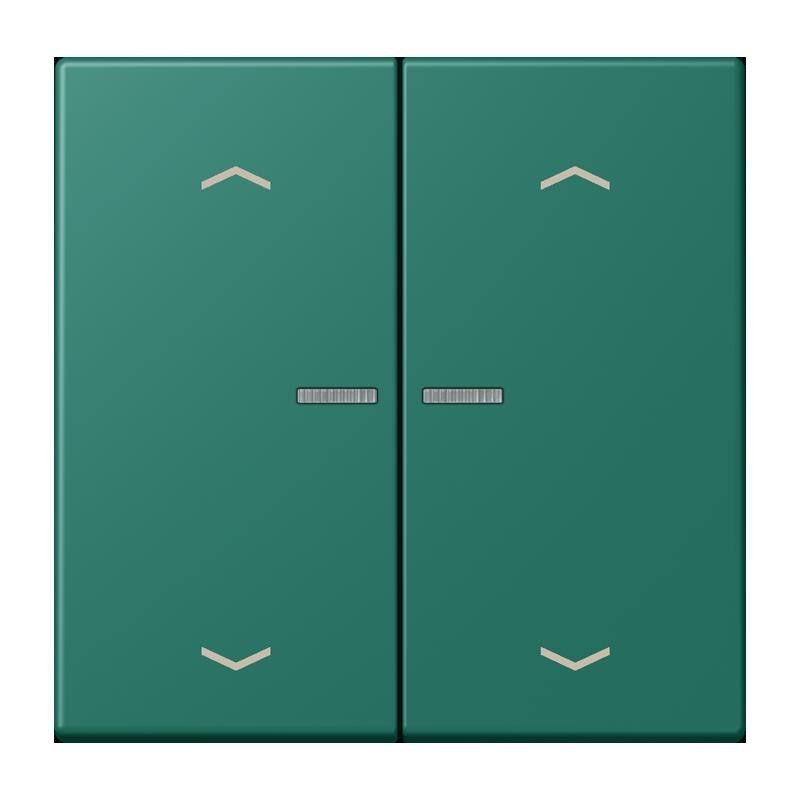 Wippe mit Lichtleiter LC 102 KO5P 216